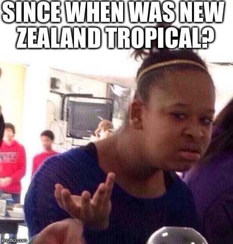 Black Girl Wat Meme | SINCE WHEN WAS NEW ZEALAND TROPICAL? | image tagged in memes,black girl wat | made w/ Imgflip meme maker