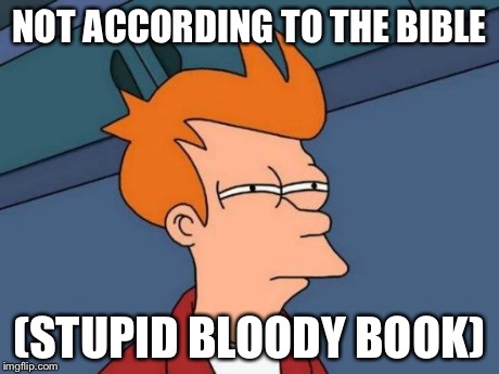 Futurama Fry Meme | NOT ACCORDING TO THE BIBLE (STUPID BLOODY BOOK) | image tagged in memes,futurama fry | made w/ Imgflip meme maker