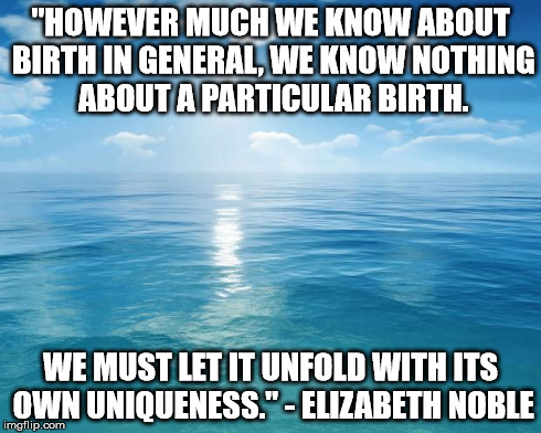 ocean | "HOWEVER MUCH WE KNOW ABOUT BIRTH IN GENERAL, WE KNOW NOTHING ABOUT A PARTICULAR BIRTH. WE MUST LET IT UNFOLD WITH ITS OWN UNIQUENESS." - EL | image tagged in ocean,inspirational | made w/ Imgflip meme maker