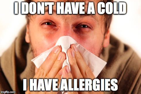 Seasonal Allergies | I DON'T HAVE A COLD I HAVE ALLERGIES | image tagged in allergies,hayfever,colds,allergy season | made w/ Imgflip meme maker
