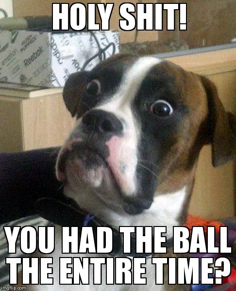 surprise | HOLY SHIT! YOU HAD THE BALL THE ENTIRE TIME? | image tagged in surprise | made w/ Imgflip meme maker