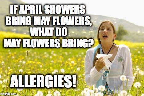 Seasonal Allergies | IF APRIL SHOWERS BRING MAYFLOWERS, WHAT DO MAY FLOWERS BRING? ALLERGIES! | image tagged in allergies,hayfever,allergy,april showers,may flowers | made w/ Imgflip meme maker