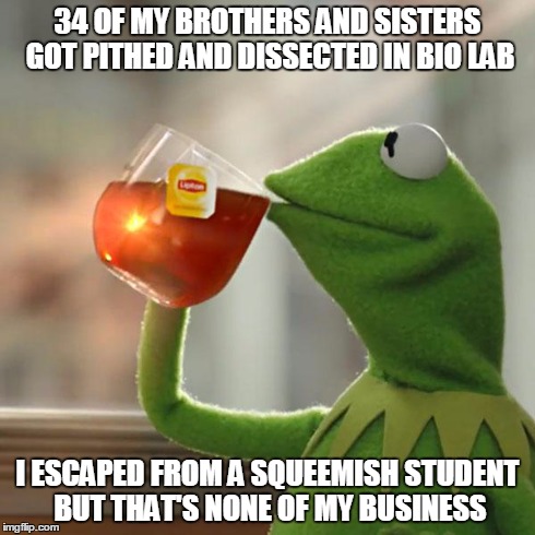 Pithed and dissected lab frog | 34 OF MY BROTHERS AND SISTERS GOT PITHED AND DISSECTED IN BIO LAB I ESCAPED FROM A SQUEEMISH STUDENT BUT THAT'S NONE OF MY BUSINESS | image tagged in memes,but thats none of my business,kermit the frog | made w/ Imgflip meme maker