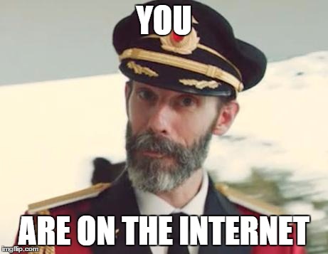 Captain Obvious | YOU ARE ON THE INTERNET | image tagged in captain obvious | made w/ Imgflip meme maker