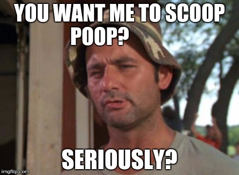 I'f you look at the expression on his face you will get it | YOU WANT ME TO SCOOP POOP? SERIOUSLY? | image tagged in memes,so i got that goin for me which is nice | made w/ Imgflip meme maker