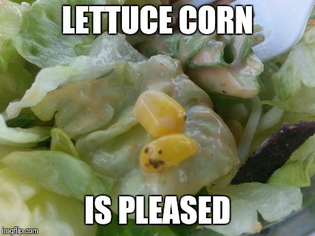 LETTUCE CORN IS PLEASED | image tagged in corn,pleased,food diety | made w/ Imgflip meme maker