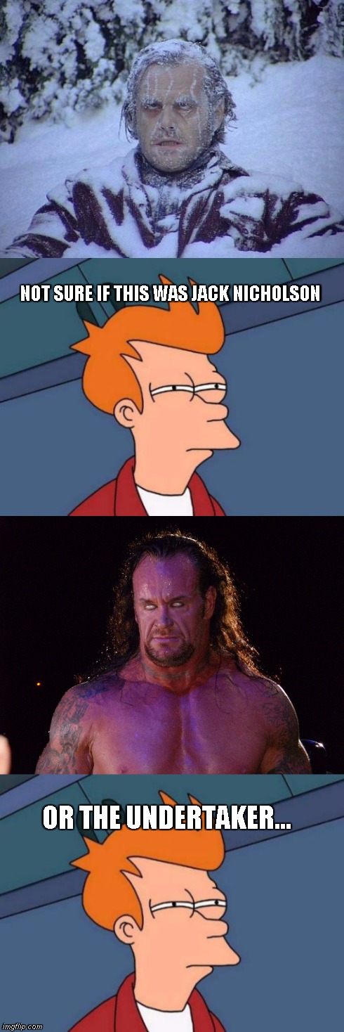 Undertaker or jack | NOT SURE IF THIS WAS JACK NICHOLSON OR THE UNDERTAKER... | image tagged in futurama fry,memes,movies,wwe,undertaker,jack nicholson | made w/ Imgflip meme maker