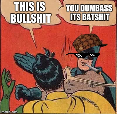 Batman Slapping Robin | THIS IS BULLSHIT YOU DUMBASS ITS BATSHIT | image tagged in memes,batman slapping robin,scumbag | made w/ Imgflip meme maker