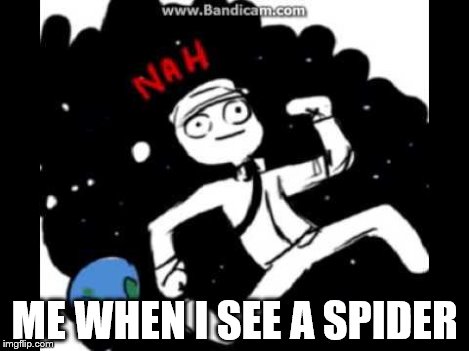 Mike Schmidt doesn't want | ME WHEN I SEE A SPIDER | image tagged in mike schmidt doesn't want | made w/ Imgflip meme maker