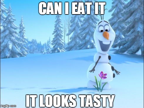 frozen by disney | CAN I EAT IT IT LOOKS TASTY | image tagged in frozen by disney,olaf the snowman,frozen | made w/ Imgflip meme maker