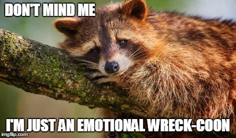 It's not easy... | DON'T MIND ME I'M JUST AN EMOTIONAL WRECK-COON | image tagged in sad raccoon,emotional wreck,punny | made w/ Imgflip meme maker