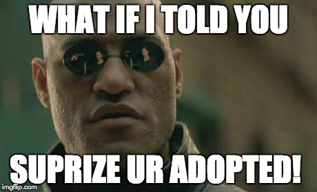 Matrix Morpheus | WHAT IF I TOLD YOU SUPRIZE UR ADOPTED! | image tagged in memes,matrix morpheus | made w/ Imgflip meme maker