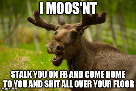 Bad Pun Moose | I MOOS'NT STALK YOU ON FB AND COME HOME TO YOU AND SHIT ALL OVER YOUR FLOOR | image tagged in bad pun moose | made w/ Imgflip meme maker