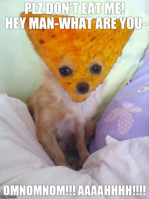 Dorito Dog taken literally | PLZ DON'T EAT ME! HEY MAN-WHAT ARE YOU- OMNOMNOM!!!AAAAHHHH!!!! | image tagged in dogs,doritos,omnomnom,lol,literally | made w/ Imgflip meme maker