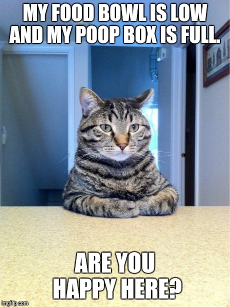 Take A Seat Cat Meme | MY FOOD BOWL IS LOW AND MY POOP BOX IS FULL. ARE YOU HAPPY HERE? | image tagged in memes,take a seat cat | made w/ Imgflip meme maker