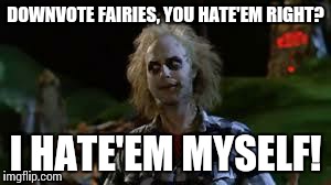 You hate em right | DOWNVOTE FAIRIES, YOU HATE'EM RIGHT? I HATE'EM MYSELF! | image tagged in you hate em right,funny,downvote | made w/ Imgflip meme maker