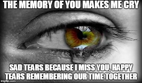 THE MEMORY OF YOU MAKES ME CRY SAD TEARS BECAUSE I MISS YOU, HAPPY TEARS REMEMBERING OUR TIME TOGETHER | image tagged in memes,crying | made w/ Imgflip meme maker