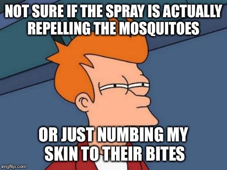 Futurama Fry | NOT SURE IF THE SPRAY IS ACTUALLY REPELLING THE MOSQUITOES OR JUST NUMBING MY SKIN TO THEIR BITES | image tagged in memes,futurama fry | made w/ Imgflip meme maker