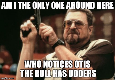 Am I The Only One Around Here | AM I THE ONLY ONE AROUND HERE WHO NOTICES OTIS THE BULL HAS UDDERS | image tagged in memes,am i the only one around here | made w/ Imgflip meme maker