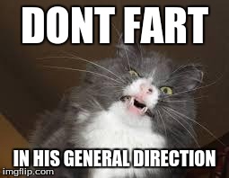 DONT FART IN HIS GENERAL DIRECTION | image tagged in disgusted cat,memes | made w/ Imgflip meme maker