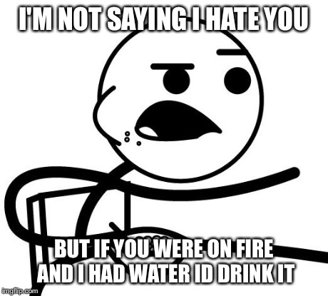 I'm Not Saying I Hate You | I'M NOT SAYING I HATE YOU BUT IF YOU WERE ON FIRE AND I HAD WATER ID DRINK IT | image tagged in i'm not saying i hate you | made w/ Imgflip meme maker
