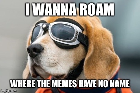 I WANNA ROAM WHERE THE MEMES HAVE NO NAME | made w/ Imgflip meme maker