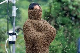 High Quality man covered in bees Blank Meme Template