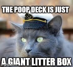 Ship Kitten | THE POOP DECK IS JUST A GIANT LITTER BOX | image tagged in ship kitten,boat,cat | made w/ Imgflip meme maker