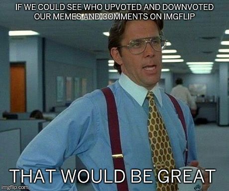 That Would Be Great | IF WE COULD SEE WHO UPVOTED AND DOWNVOTED OUR MEMES AND COMMENTS ON IMGFLIP THAT WOULD BE GREAT | image tagged in memes,that would be great | made w/ Imgflip meme maker