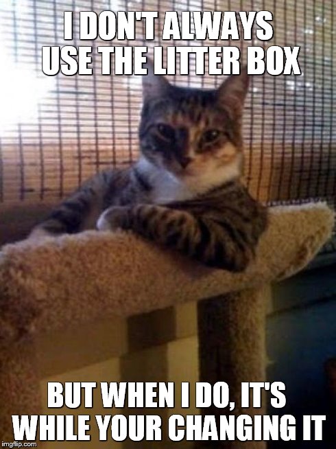 The Most Interesting Cat In The World Meme | I DON'T ALWAYS USE THE LITTER BOX BUT WHEN I DO, IT'S WHILE YOUR CHANGING IT | image tagged in memes,the most interesting cat in the world | made w/ Imgflip meme maker