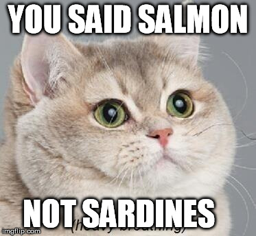 Heavy Breathing Cat | YOU SAID SALMON NOT SARDINES | image tagged in memes,heavy breathing cat | made w/ Imgflip meme maker