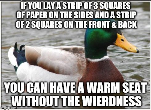 Actual Advice Mallard Meme | IF YOU LAY A STRIP OF 3 SQUARES OF PAPER ON THE SIDES AND A STRIP OF 2 SQUARES ON THE FRONT & BACK YOU CAN HAVE A WARM SEAT WITHOUT THE WIER | image tagged in memes,actual advice mallard | made w/ Imgflip meme maker