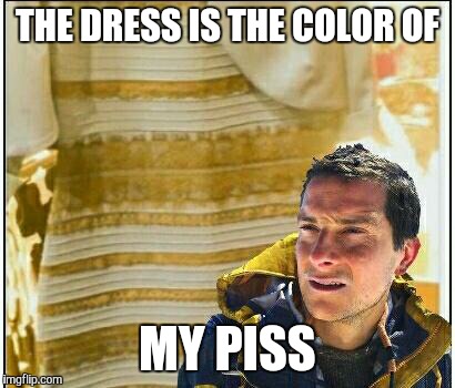 Bear Grylls finally figured it out... | THE DRESS IS THE COLOR OF MY PISS | image tagged in bear grylls,black and blue dress,the dress | made w/ Imgflip meme maker