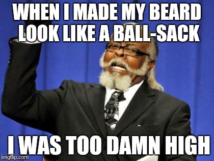 His scrotum appears to be T.D.H. | WHEN I MADE MY BEARD LOOK LIKE A BALL-SACK I WAS TOO DAMN HIGH | image tagged in memes,too damn high | made w/ Imgflip meme maker