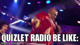 QUIZLET RADIO BE LIKE: | image tagged in gifs | made w/ Imgflip video-to-gif maker