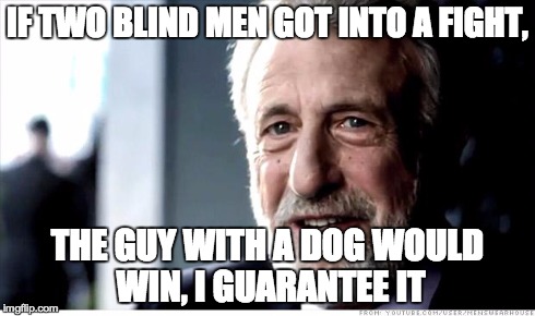 I Guarantee It Meme | IF TWO BLIND MEN GOT INTO A FIGHT, THE GUY WITH A DOG WOULD WIN, I GUARANTEE IT | image tagged in memes,i guarantee it | made w/ Imgflip meme maker