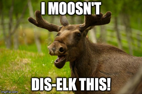 Bad Pun Moose | I MOOSN'T DIS-ELK THIS! | image tagged in bad pun moose | made w/ Imgflip meme maker