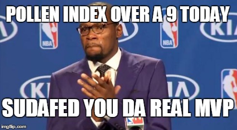 You The Real MVP Meme | POLLEN INDEX OVER A 9 TODAY SUDAFED YOU DA REAL MVP | image tagged in memes,you the real mvp,AdviceAnimals | made w/ Imgflip meme maker