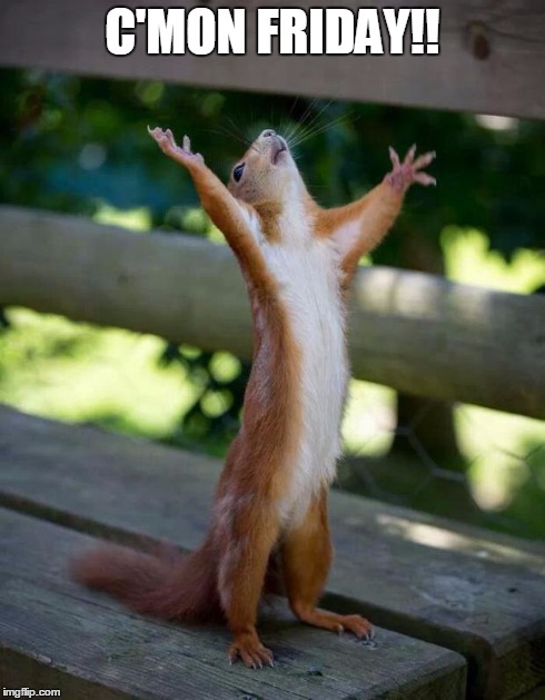 Happy Squirrel | C'MON FRIDAY!! | image tagged in happy squirrel | made w/ Imgflip meme maker