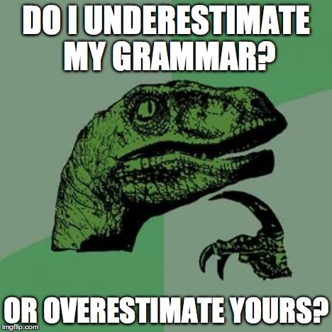 DO I UNDERESTIMATE MY GRAMMAR? OR OVERESTIMATE YOURS? | image tagged in memes,philosoraptor | made w/ Imgflip meme maker