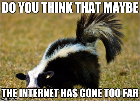 DO YOU THINK THAT MAYBE THE INTERNET HAS GONE TOO FAR | image tagged in skunk cow,animals | made w/ Imgflip meme maker