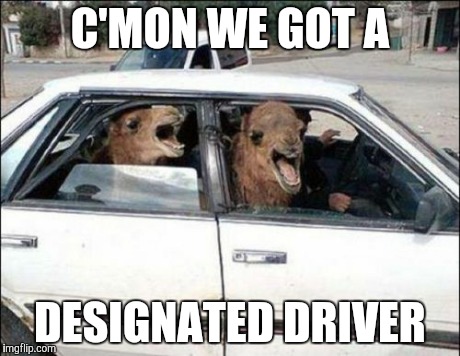 Quit Hatin Meme | C'MON WE GOT A DESIGNATED DRIVER | image tagged in memes,quit hatin | made w/ Imgflip meme maker