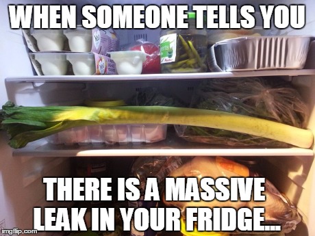 Leaks!!!!! | WHEN SOMEONE TELLS YOU THERE IS A MASSIVE LEAK IN YOUR FRIDGE... | image tagged in leek,puns | made w/ Imgflip meme maker