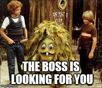 THE BOSS IS LOOKING FOR YOU | image tagged in sigmundtheseamonsters | made w/ Imgflip meme maker