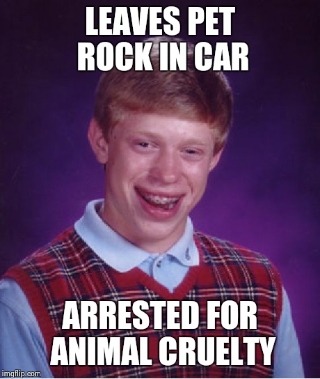 Bad Luck Brian | LEAVES PET ROCK IN CAR ARRESTED FOR ANIMAL CRUELTY | image tagged in memes,bad luck brian | made w/ Imgflip meme maker