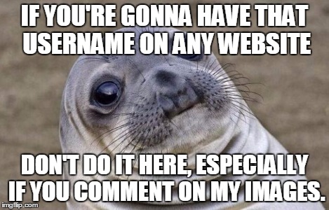 Awkward Moment Sealion Meme | IF YOU'RE GONNA HAVE THAT USERNAME ON ANY WEBSITE DON'T DO IT HERE, ESPECIALLY IF YOU COMMENT ON MY IMAGES. | image tagged in memes,awkward moment sealion | made w/ Imgflip meme maker