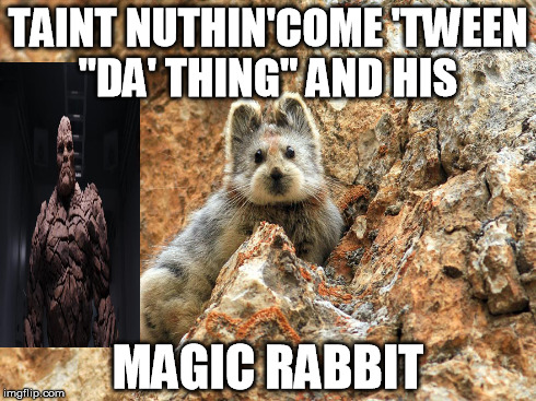 Hard on the outside, soft in the middle | TAINT NUTHIN'COME 'TWEEN "DA' THING" AND HIS MAGIC RABBIT | image tagged in magic rabbit,the thing | made w/ Imgflip meme maker