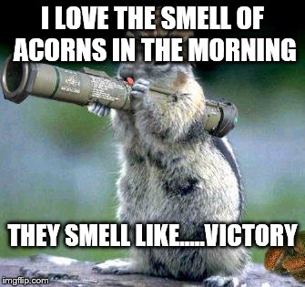 That smell, that acorn smell! | I LOVE THE SMELL OF ACORNS IN THE MORNING THEY SMELL LIKE.....VICTORY | image tagged in memes,bazooka squirrel | made w/ Imgflip meme maker