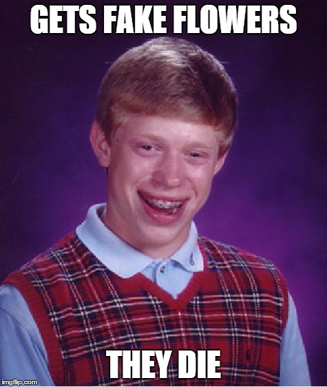 Bad Luck Brian | GETS FAKE FLOWERS THEY DIE | image tagged in memes,bad luck brian | made w/ Imgflip meme maker