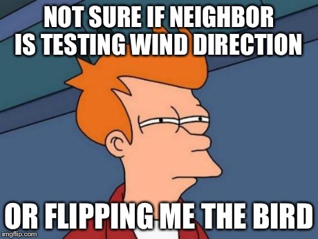 Futurama Fry | NOT SURE IF NEIGHBOR IS TESTING WIND DIRECTION OR FLIPPING ME THE BIRD | image tagged in memes,futurama fry | made w/ Imgflip meme maker